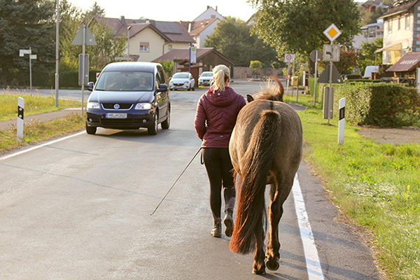 Führen_im_Straßenverkehr_c_Sandra_Muth.jpg